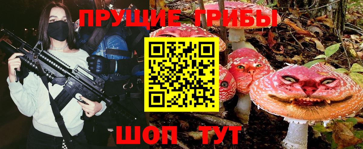 Псилоцибиновые грибы мухоморы  Вход с VPN  купить  сайты  Кисловодск 