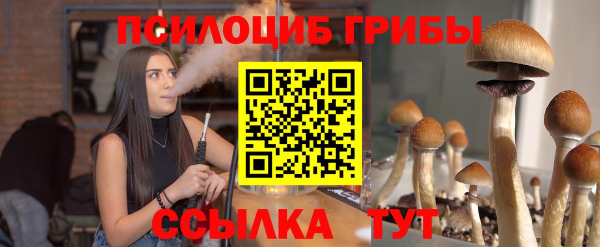 Галлюциногенные грибы прущие грибы Кисловодск